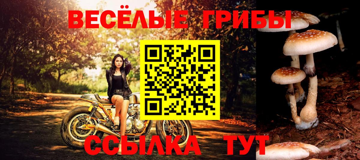 Галлюциногенные грибы мухоморы Коряжма