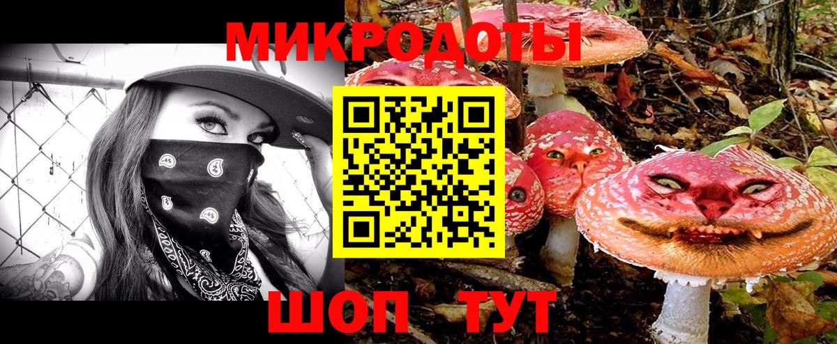 Коряжма  Псилоцибиновые грибы мухоморы  Вход с VPN 